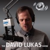 The Official David Lukas Show