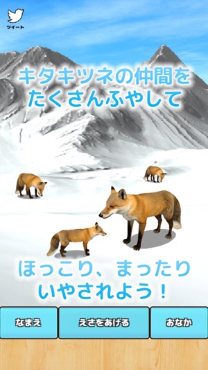 Cute Fox Healing Life(圖3)-速報App