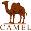 Camel 健康计步