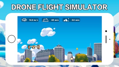 Drone Flight Simulator screenshot 3