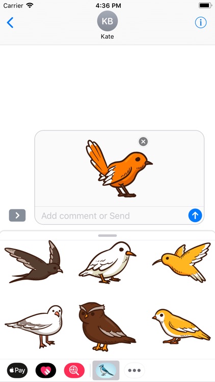 Tropical Bird Stickers