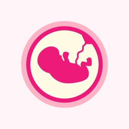 Pregnancy Stickers - Baby Bump