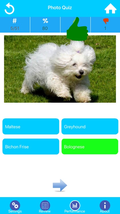 Dog Breeds Guide & Quiz screenshot-3