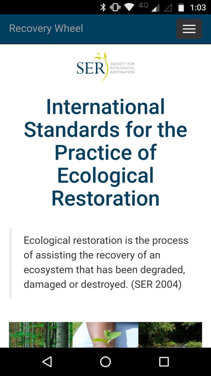 Recovery wheel screenshot-3