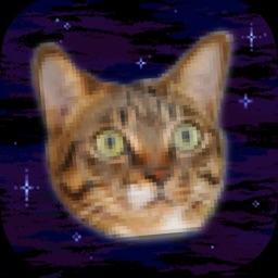 Cats In Space! Galactic Mice