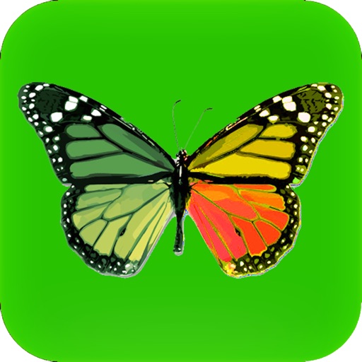 Photo Effects Studio