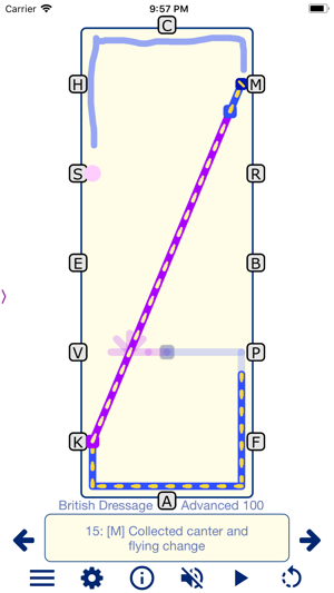 TestPro British Dressage(圖6)-速報App