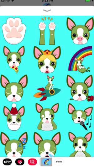 St Patrick's Boston Terrier(圖4)-速報App