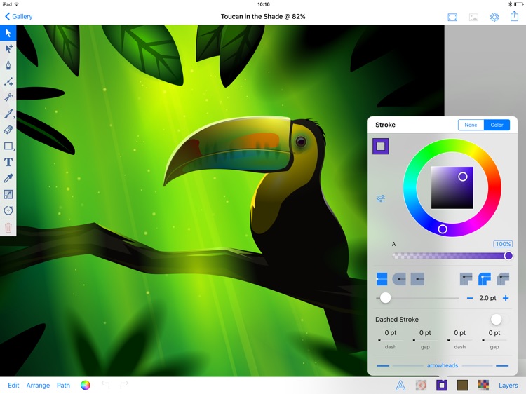 Download Best Vector Drawing Apps For iPad