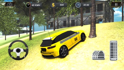 Real Offroad Taxi Simulator screenshot 4