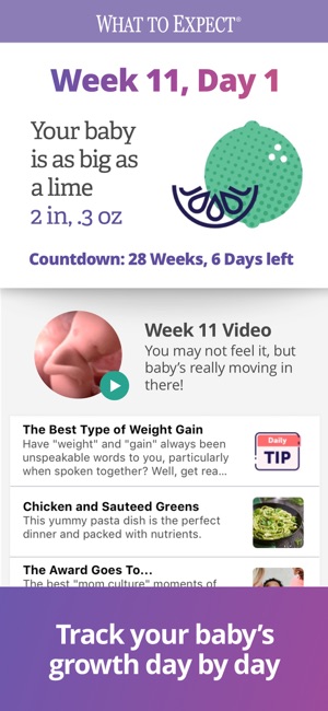 day by day pregnancy tracker
