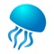 Jellyfish are regularly encountered on the beaches and in the sea around Ibiza