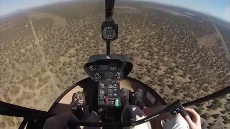 How To Fly A Helicopter screenshot-3