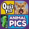QuizTix: Animal Pics Quiz