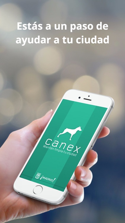 canex