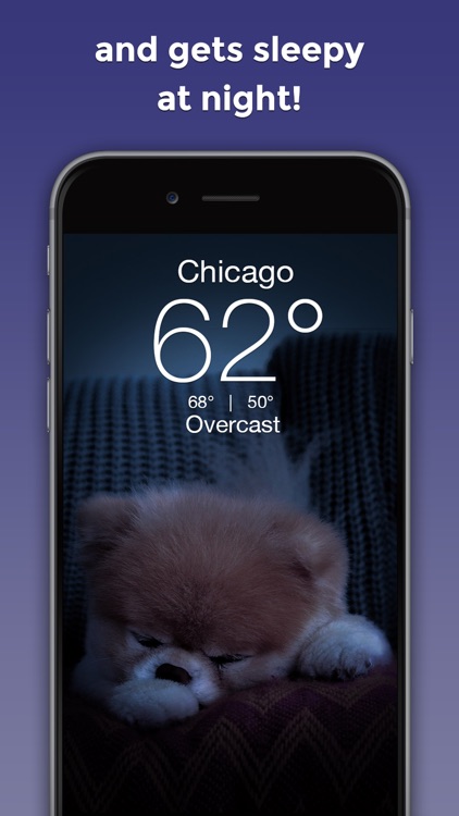 Boo Weather