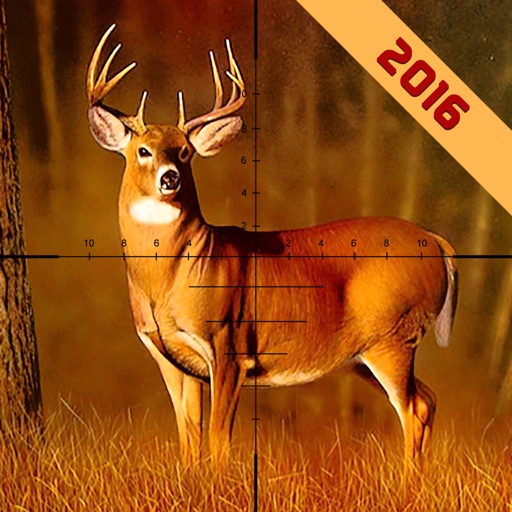 Jungle Deer Hunting Adventure 2016 iOS App