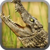 Alligator Hunt Simulator - New Real Action Sniper Shooter Games FREE