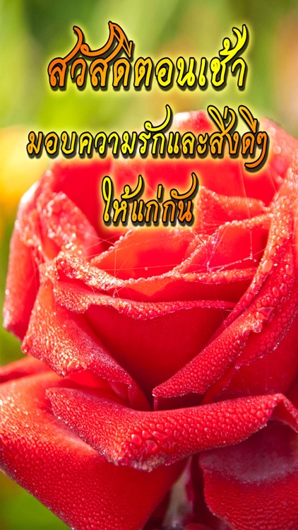 คำคมสวัสดี สวัสดีตอนเช้าฟรีตามวัน