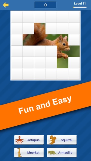 Guess the animal (free animal pictures game)(圖2)-速報App