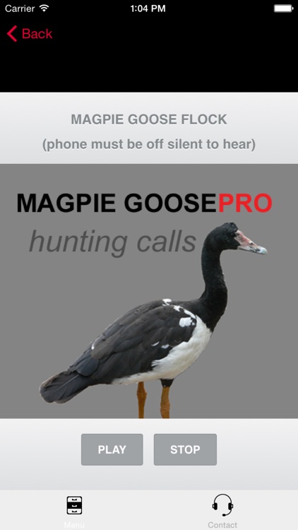 REAL Magpie Goose Calls - Hunting Calls for Magpie Geese - BLUETOOTH COMPATIBLE screenshot-0