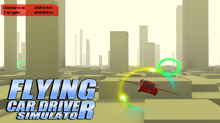 Flying Car Driver Simulator