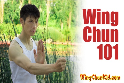 Wing Chun Glossary Self Defense KungFu - Ip Man 3: The Grandmaster screenshot 4