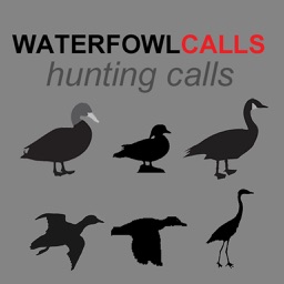 Waterfowl Hunting Calls SAMPLER - The Ultimate Waterfowl Hunting Calls App For Ducks, Geese & Sandhill Cranes