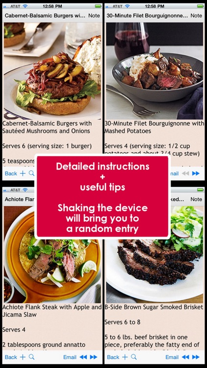 500 Beef Recipes