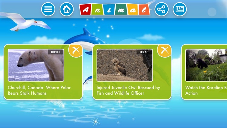 Hey Animal screenshot-3