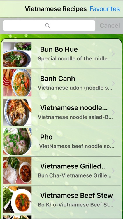 Best Vietnamese Food Recipes with Cooking Video Instructions