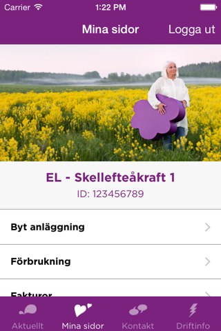 Skellefteå Kraft screenshot 2