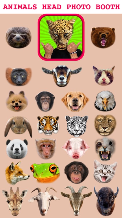 Animal Head Photo Sticker Booth Free - Funny Animals Face Changer Montage Maker