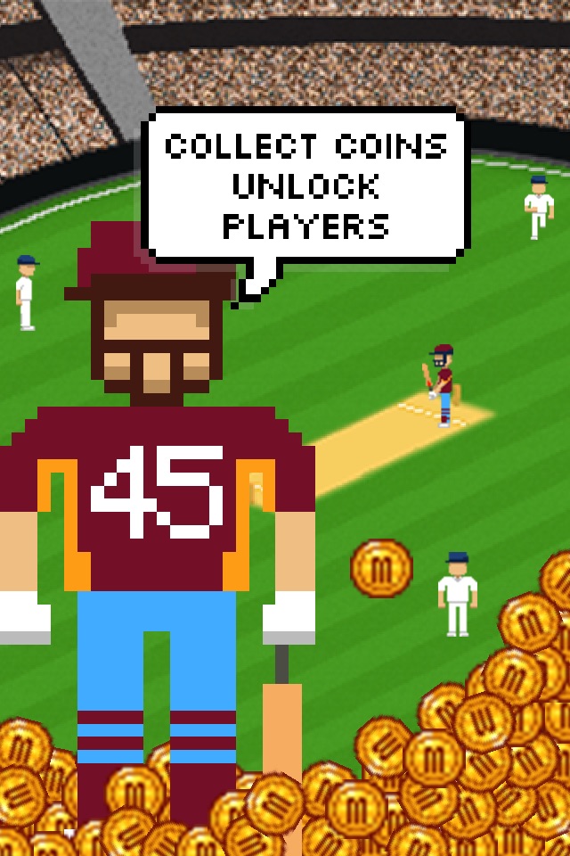 Flicky Cricket screenshot 3