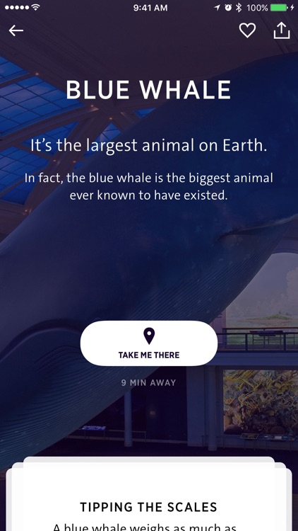 Explorer: The American Museum of Natural History