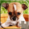 Dog Puzzles - Relaxing photo picture puzzles for kids and adults