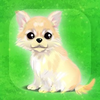 癒しの子犬育成ゲーム〜チワワ編〜（無料） apk