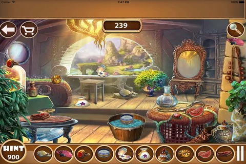 Next Day Hidden Object screenshot 2