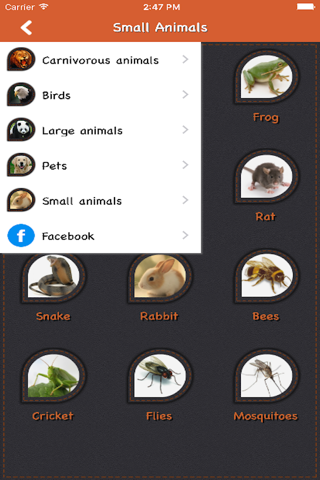 Animal Sound For Child screenshot 3