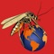 Description For App: Mosquito Vs