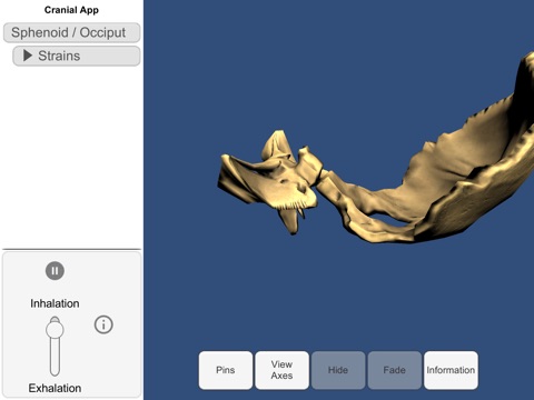 3D Osteopathic Cranial screenshot 2