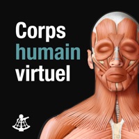 Corps humain virtuel pour PC