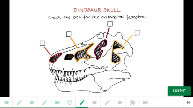 Dino 101(圖5)-速報App