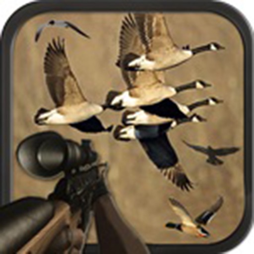 Birds Hunting Sniper Season Free