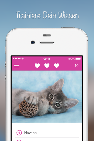 iKnow Cats 2 PRO - Cat Breed Guide screenshot 4
