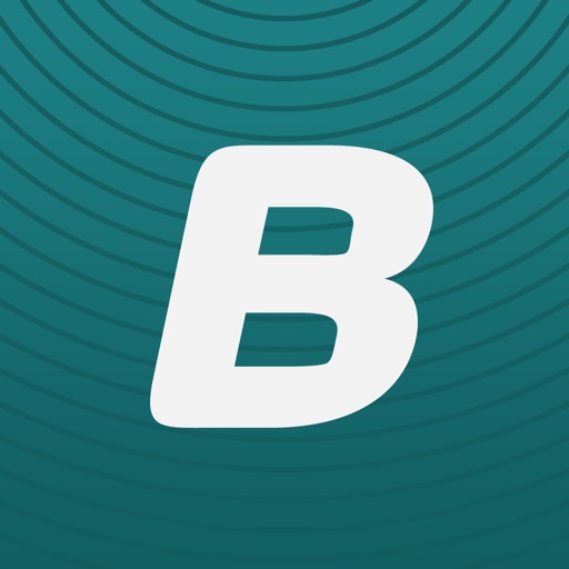 Blinksale iOS App