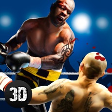 Activities of Real Punch Box Fighting 3D Full
