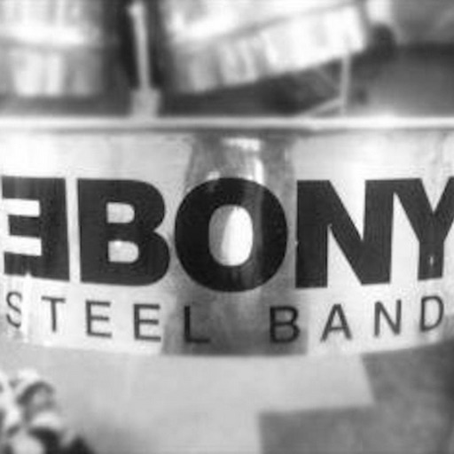 Ebony Steelpan Pro by ebony ebony