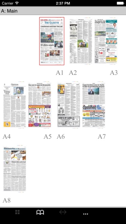Medina Gazette