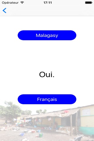 MalagasyFrench screenshot 4